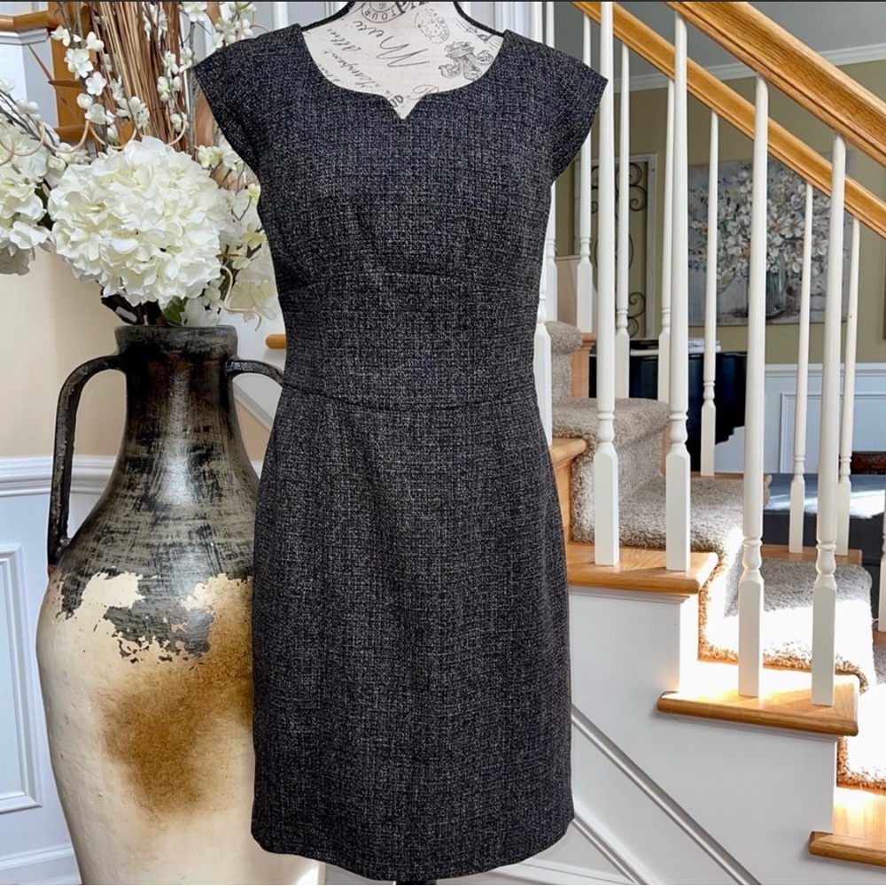 The Limited Sheath Dress Size 6